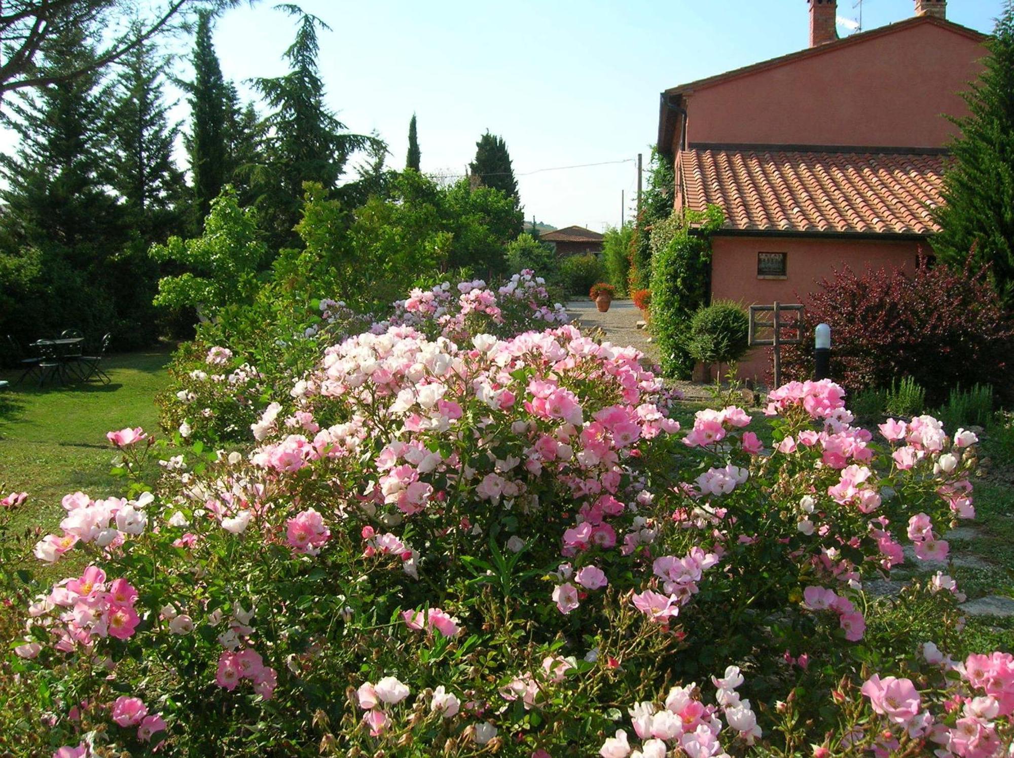 Sant'Alberto Campiglia dʼOrcia エクステリア 写真